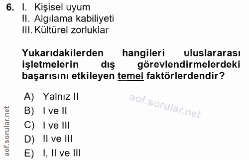 6. soru: I. Kişisel uyum II. Algılama kabiliyeti Ill. Kültürel zorluklar Yukarıdakilerden hangileri uluslararası işletmelerin…