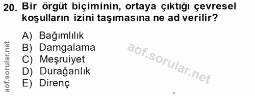 20. soru: Bir örgüt biçiminin, ortaya çıktığı çevresel koşulların izini taşımasına ne ad verilir? A) Bağımlılık B) Damgalama C)…