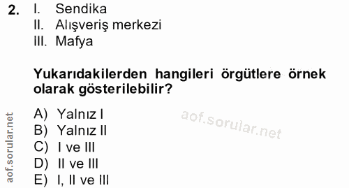 2. soru: l. Sendika Il. Alışveriş merkezi III. Mafya Yukarıdakilerden hangileri örgütlere örnek olarak gösterilebilir? A) Yaln…