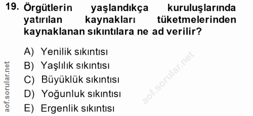 19. soru: Örgütlerin yaşlandıkça kuruluşlarında yatırılan kaynakları tüketmelerinden kaynaklanan sıkıntılara ne ad verilir? A)…