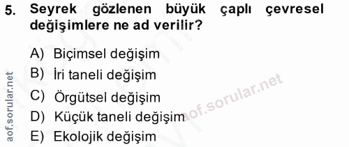 5. soru: Seyrek gözlenen büyük çaplı çevresel değişimlere ne ad verilir? A) Biçimsel değışim B) İri taneli değişim lar.ne C) Ö…