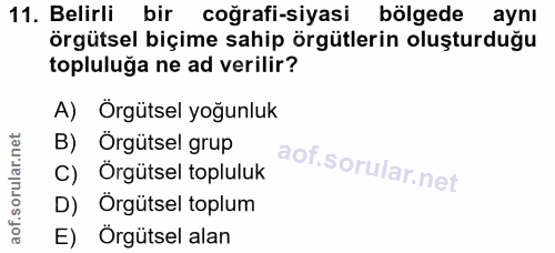11. soru: Belirli bir coğrafi-siyasi bölgede aynı örgütsel biçime sahip örgütlerin oluşturduğu topluluğa ne ad verilir? A) Örgü…