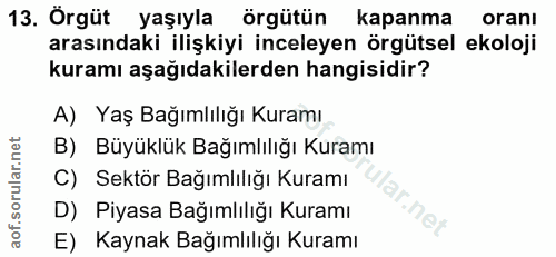 13. soru: Örgüt yaşıyla örgütün kapanma oranı arasındaki ilişkiyi inceleyen örgütsel ekoloji kuramı aşağıdakilerden hangisidir?…