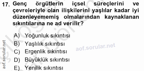 17. soru: Genç örgütlerin içsel süreçlerini ve çevreleriyle olan ilişkilerini yaşlılar kadar iyi düzenleyememiş olmalarından ka…