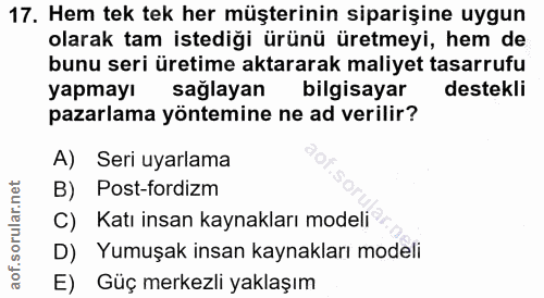 17. soru: Hem tek tek her müşterinin siparişine uygun olarak tam istediği ürünü üretmeyi, hem de bunu seri üretime aktararak ma…