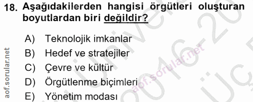 18. soru: Aşağıdakilerden hangisi örgütleri oluşturan boyutlardan biri değildir? A) Teknolojik imkanlar B) Hedef ve stratejiler…