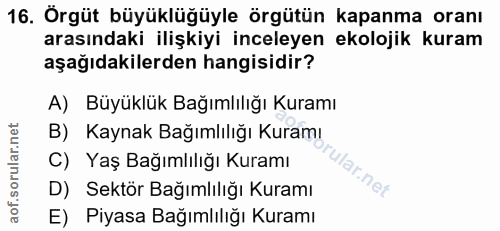 16. soru: Örgüt büyüklüğüyle örgütün kapanma oranı arasındaki ilişkiyi inceleyen ekolojik kuram aşağıdakilerden hangisidir? A)…