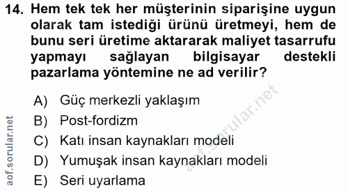 14. soru: Hem tek tek her müşterinin siparişine uygun olarak tam istediği ürünü üretmeyi, hem de bunu seri üretime aktararak ma…