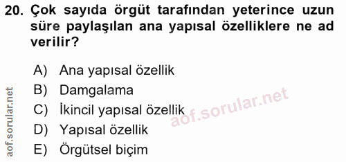 20. soru: Çok sayıda örgüt tarafından yeterince uzun süre paylaşılan ana yapısal özelliklere ne ad verilir? A) Ana yapısal özel…
