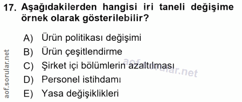 17. soru: Aşağıdakilerden hangisi iri taneli değişime örnek olarak gösterilebilir? A) Urün politikası değişimi B) Urün çeşitlen…