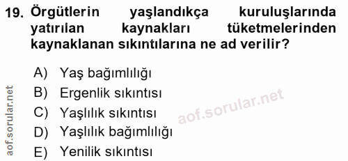 19. soru: Örgütlerin yaşlandıkça kuruluşlarında yatırılan kaynakları tüketmelerinden kaynaklanan sıkıntılarına ne ad verilir? A…