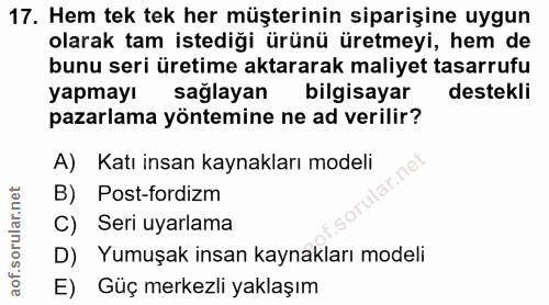 17. soru: Hem tek tek her müşterinin siparişine uygun olarak tam istediği ürünü üretmeyi, hem de bunu seri üretime aktararak ma…