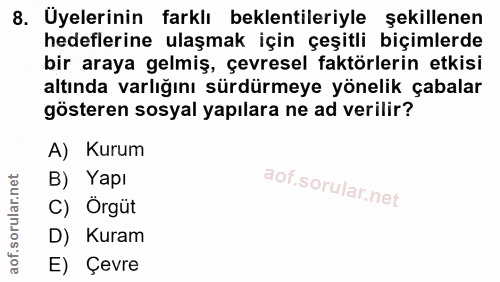 8. soru: Uyelerinin farklı beklentileriyle şekillenen hedeflerine ulaşmak için çeşitli biçimlerde bir araya gelmiş, çevresel f…
