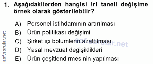 1. soru: Aşağıdakilerden hangisi iri taneli değişime örnek olarak gösterilebilir? A) Personel istihdamının artırılması B) Urün…
