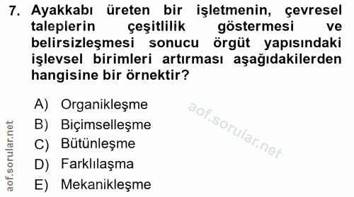7. soru: Ayakkabı üreten bir işletmenin, çevresel taleplerin çeşitlilik göstermesi ve belirsizleşmesi sonucu örgüt yapısındaki…