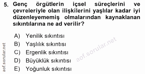 5. soru: Genç örgütlerin içsel süreçlerini ve çevreleriyle olan ilişkilerini yaşlılar kadar iyi düzenleyememiş olmalarından ka…