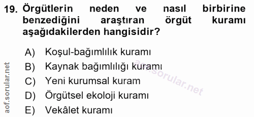 19. soru: Örgütlerin neden ve nasıl birbirine benzediğini araştıran örgüt kuramı aşağıdakilerden hangisidir? A) Koşul-bağımlılı…