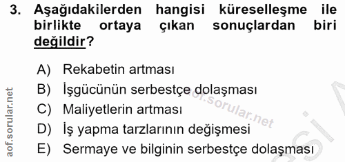 3. soru: Aşağıdakilerden hangisi küresellesme ile birlikte ortaya çıkan sonuçlardan biri değildir? A) Rekabetin artması B) İşg…