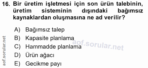 16. soru: Bir üretim işletmesi için son ürün talebinin, üretim sisteminin dışındakı bağımsız kaynaklardan oluşmasına ne ad veri…