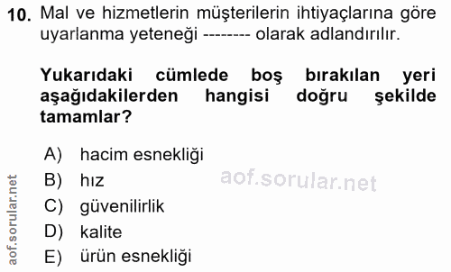10. soru: Mal ve hizmetlerin müşterilerin ihtiyaçlarına göre uyarlanma yeteneği ------- olarak adlandırılır. Yukarıdaki cümlede…