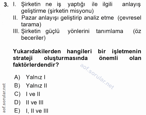 3. soru: I. Şirketin ne iş yaptığı ile ilgili anlayış geliştirme (şirketin misyonu) II. Pazar anlayışı geliştirip analiz etme…