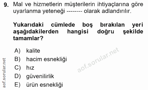 9. soru: Mal ve hizmetlerin müşterilerin ihtiyaçlarına göre uyarlanma yeteneği ---- olarak adlandırılır. Yukarıdaki cümlede bo…