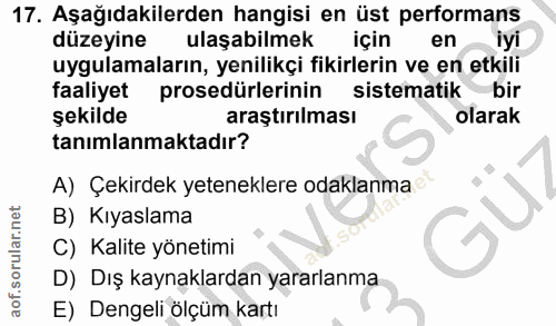 17. soru: Aşağıdakilerden hangisi en üst performans düzeyine ulaşabilmek için en iyi uygulamaların, yenilikçi fikirlerin ve en…