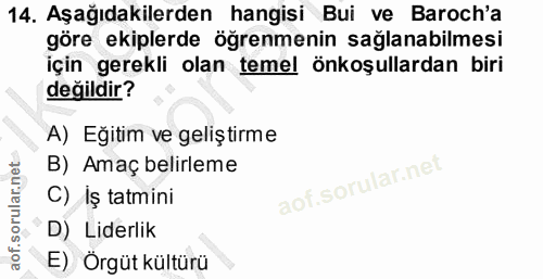 14. soru: Aşağıdakilerden hangisi Bui ve Baroch'a göre ekiplerde öğrenmenin sağlanabilmesi için gerekli olan temel önkoşullarda…