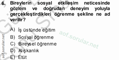 6. soru: Bireylerin sosyal etkileşim neticesinde gözlem ve doğrudan deneyim yoluyla gerçekleştirdikleri öğrenme şekline ne ad…