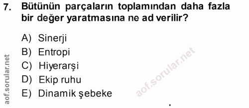 7. soru: Bütünün parçaların toplamından daha fazla bir değer yaratmasına ne ad verilir? A) Sinerji B) Entropi C) Hiyerarşi D)…