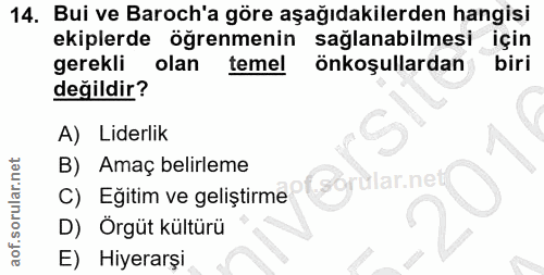 14. soru: Bui ve Baroch'a göre aşağıdakilerden hangisi ekiplerde öğrenmenin saglanabilmesi için gerekli olan temel önkoşullarda…