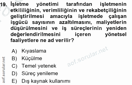 19. soru: İşletme yönetimi tarafından işletmenin etkililiğinin, verimliliğinin ve rekabetçiliğinin geliştirilmesi amacıyla işle…