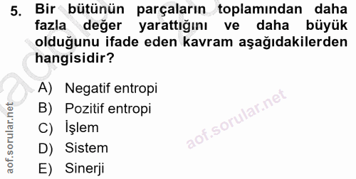 5. soru: Bir bütünün parçaların toplamından daha fazla değer yarattığını ve daha büyük olduğunu ifade eden kavram aşağıdakiler…