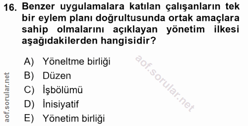 16. soru: Benzer uygulamalara katılan çalışanların tek bir eylem planı doğrultusunda ortak amaçlara sahip olmalarını açıklayan…