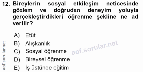 12. soru: Bireylerin sosyal etkileşim neticesinde gözlem ve doğrudan deneyim yoluyla gerçekleştirdikleri öğrenme şekline ne ad…