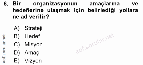 6. soru: Birl organizasyonun amaçlarına ve hedeflerine ulaşmak için belirlediği yollara ne ad verilir? A) Strateji B) Hedef C)…