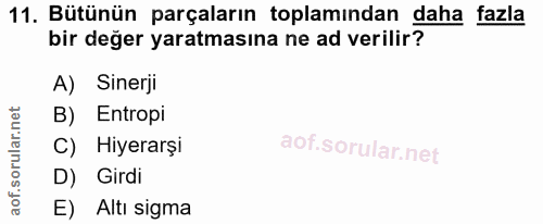 11. soru: Bütünün parçaların toplamından daha fazla bir değer yaratmasına ne ad verilir? A) Sinerji B) Entropi C) Hiyerarşi D)…