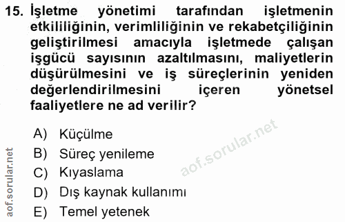 15. soru: İşletme yönetimi tarafindan işletmenin etkililiğinin, verimliliğinin ve rekabetçiliğinin geliştirilmesi amacıyla işle…