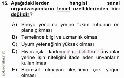 15. soru: Aşağıdakilerden hangisi sanal organizasyonların temel özelliklerinden biri değildir? A) Bireye yönelme yerine takım r…