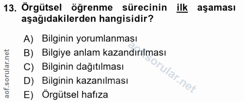 13. soru: Örgütsel öğrenme sürecinin ilk aşaması aşağıdakilerden hangisidir? A) Bilginin yorumlanması B) Bilgiye anlam kazandır…