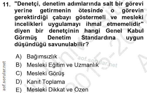 11. soru: "Denetçi, denetim adımlarında salt bir görevi yerine getirmenin ötesinde o görevin gerektirdiği çabayı göstermeli ve…