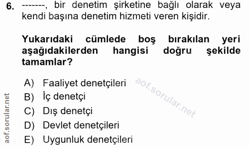 6. soru: ---, bir denetim şirketine bağlı olarak veya kendi başına denetim hizmeti veren kişidir. Yukarıdaki cümlede boş bırak…