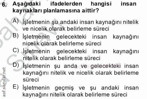 6. soru: Aşağıdakı ifadelerden hangisi insan kaynakları planlamasına aittir? A) İşletmenin şu andaki insan kaynağını nitelik v…