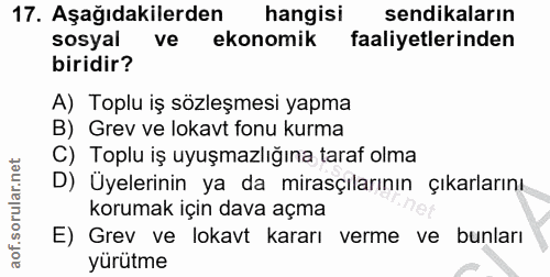 17. soru: Aşağıdakilerden hangisi sendikaların sosyal ve ekonomik faaliyetlerinden biridir? A) Toplu iş sözleşmesi yapma B) Gre…