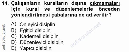 14. soru: Çalışanların kuralların dışına çıkmamaları için kural ve düzenlemelerle önceden yönlendirilmesi çabalarına ne ad veri…