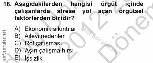 18. soru: Aşağıdakilerden hangisi örgüt içinde çalışanlarda strese yol açan örgütsel faktörlerden biridir? A) Ekonomik sıkıntıl…
