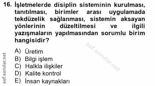 16. soru: İşletmelerde disiplin sisteminin kurulması, tanıtılması, birimler arası uygulamada tekdüzelik sağlanması, sistemin ak…