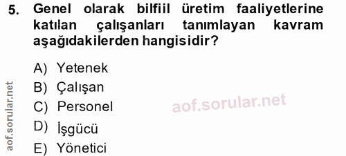 5. soru: Genel olarak bilfiil üretim faaliyetlerine katılan çalışanları tanımlayan kavram aşağıdakilerden hangisidir? A) Yeten…