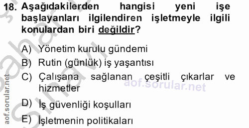 18. soru: Aşağıdakilerden hangisi yeni işe başlayanları ilgilendiren işletmeyle ilgili konulardan biri değildir? A) Yönetim kur…