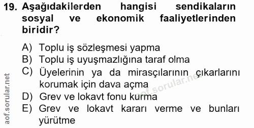 19. soru: Aşağıdakilerden hangisi sendikaların sosyal ve ekonomik faaliyetlerinden biridir? A) Toplu iş sözleşmesi yapma B) Top…